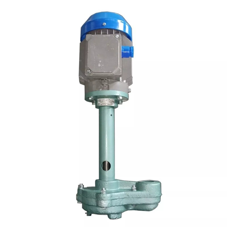 Насос П-25М для СОЖ, с основанием с электродвигателем 0,18/3000 - фото №1