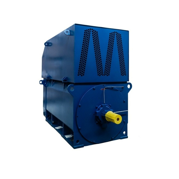 Электродвигатель ДАЗО4-400X-4МT2 315 кВт 1500 об/мин IM1001 - фото №1